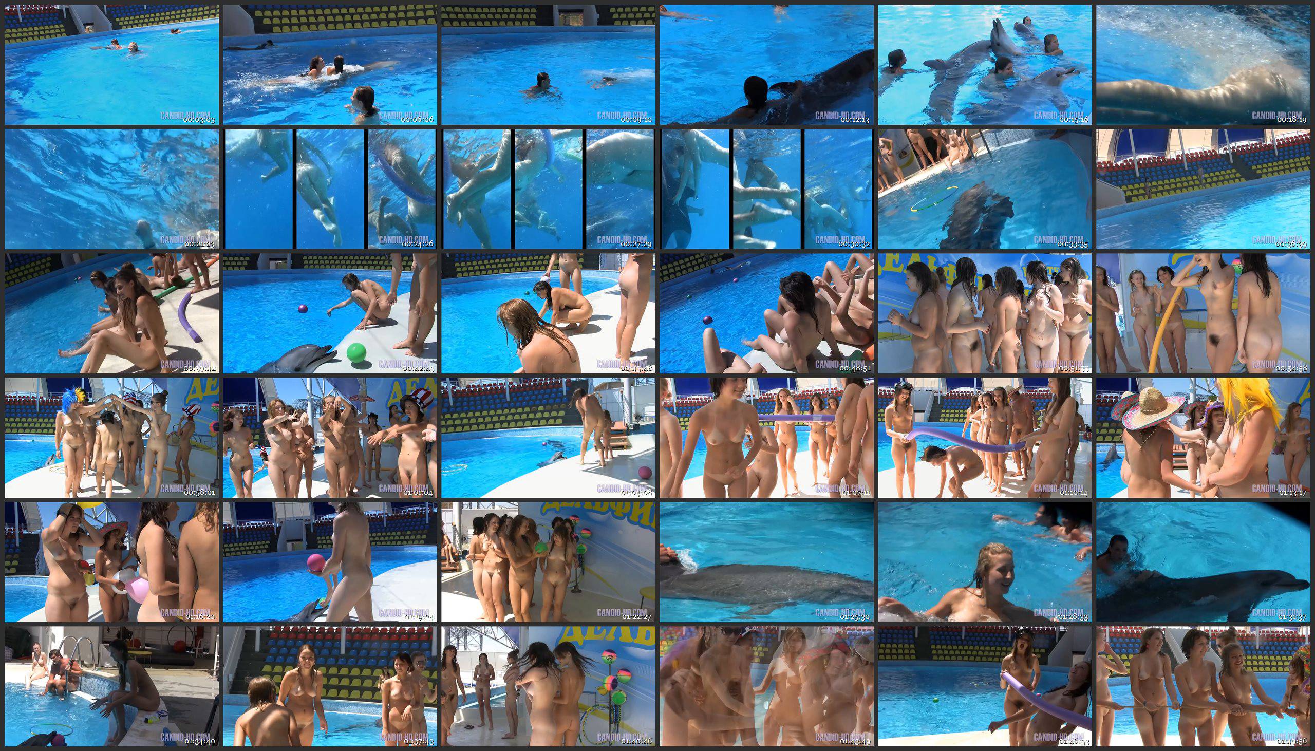 Amazing Dolphin Encounter [mp4 | 4.09 GB | 1280x720]