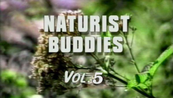 Naturist buddies vol.5 [mp4 | 1.27 GB | 720x480]